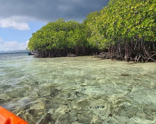 Lembongan Manggrove 2