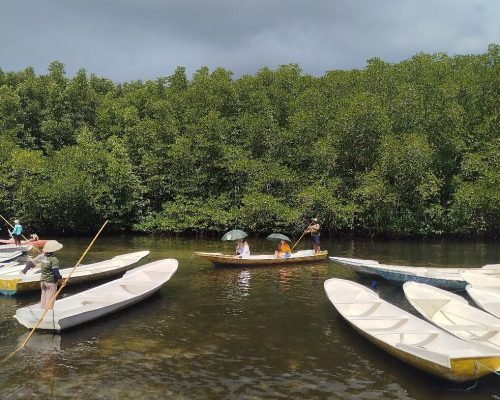 Lembongan Manggrove