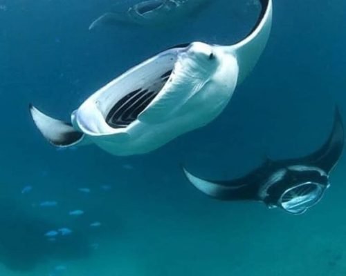 WhatsApp Image 2025-12-20 at 07.07.47 (2)