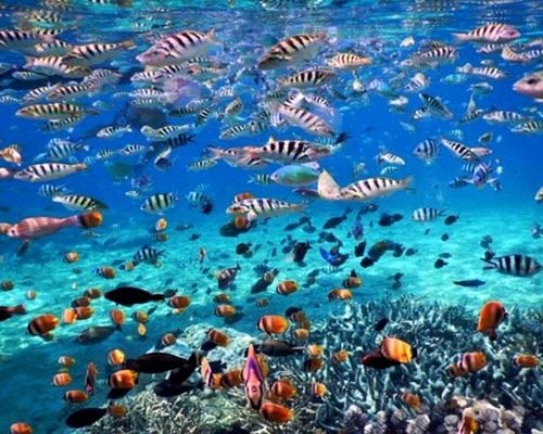 WhatsApp Image 2025-12-20 at 15.35.21 (1)