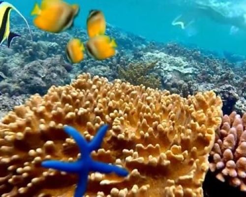 WhatsApp Image 2025-12-20 at 15.35.23 (1)