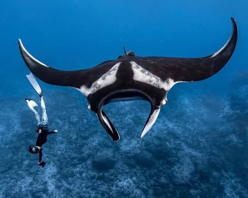 WhatsApp Image 2025-12-20 at 15.35.24 (1)