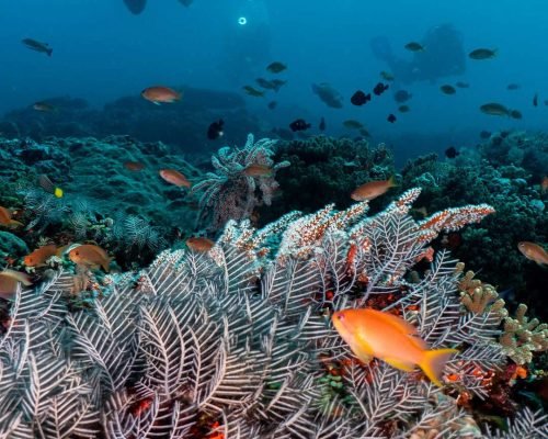 WhatsApp Image 2025-12-20 at 15.35.24