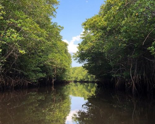 WhatsApp Image 2025-12-20 at 15.35.25 (1)