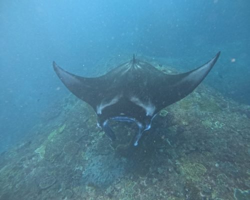 WhatsApp Image 2025-12-26 at 09.38.45 (1)