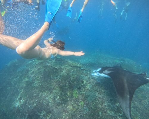 WhatsApp Image 2025-12-26 at 09.38.46