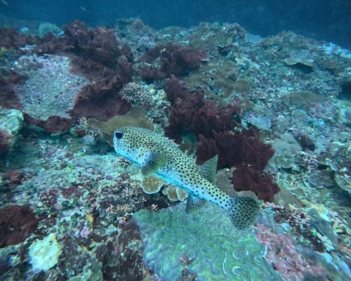 WhatsApp Image 2025-12-26 at 09.38.52