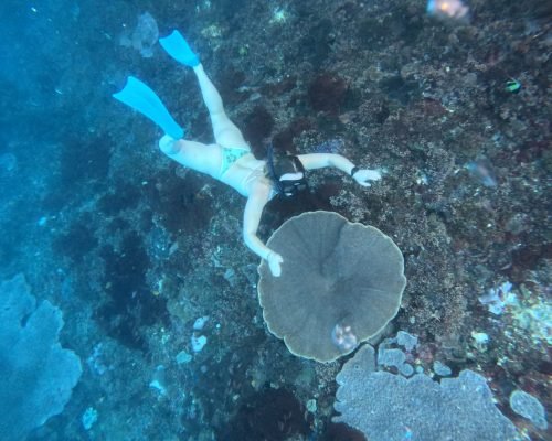 WhatsApp Image 2025-12-26 at 09.38.55 (1)