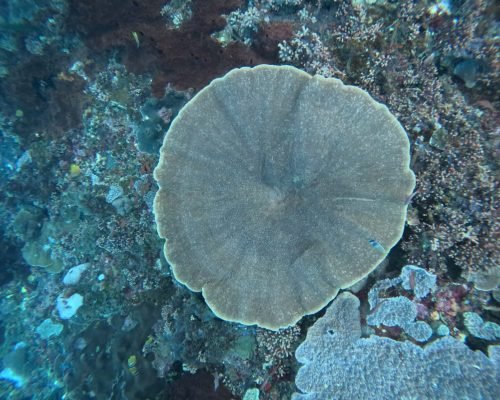 WhatsApp Image 2025-12-26 at 09.38.55