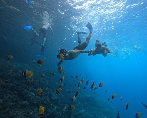 WhatsApp Image 2025-12-26 at 09.38.56