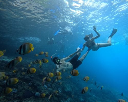 WhatsApp Image 2025-12-26 at 09.38.57