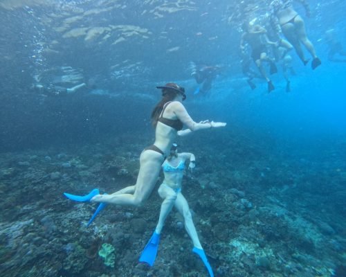 WhatsApp Image 2025-12-26 at 09.38.58 (1)