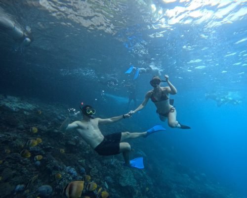 WhatsApp Image 2025-12-26 at 09.38.58