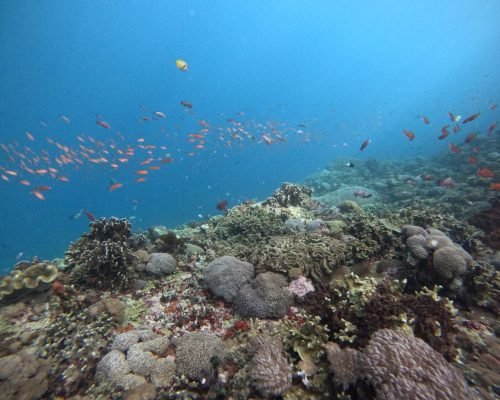 WhatsApp Image 2025-12-26 at 09.39.00