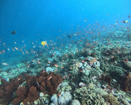 WhatsApp Image 2025-12-26 at 09.39.01