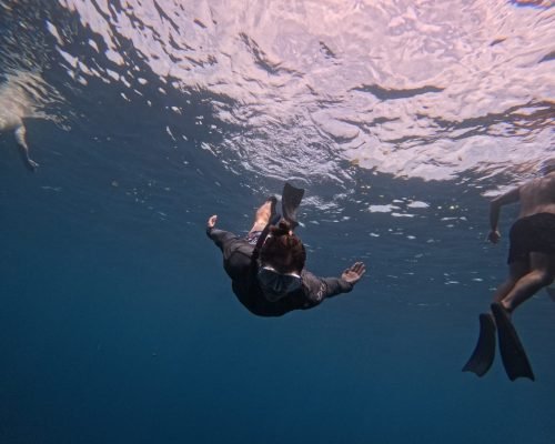 WhatsApp Image 2025-12-26 at 09.39.02