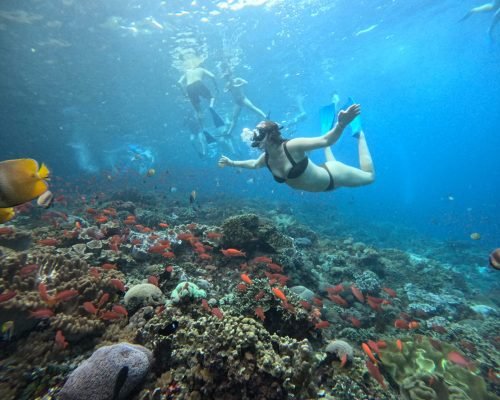 WhatsApp Image 2025-12-26 at 09.39.03 (1)