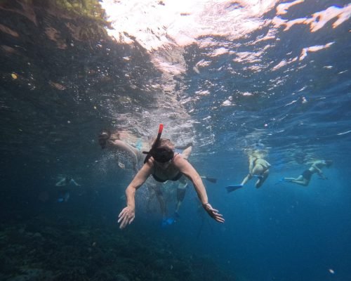 WhatsApp Image 2025-12-26 at 09.39.03