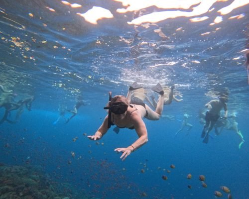 WhatsApp Image 2025-12-26 at 09.39.04