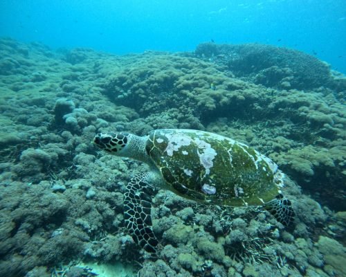 WhatsApp Image 2025-12-26 at 09.39.06