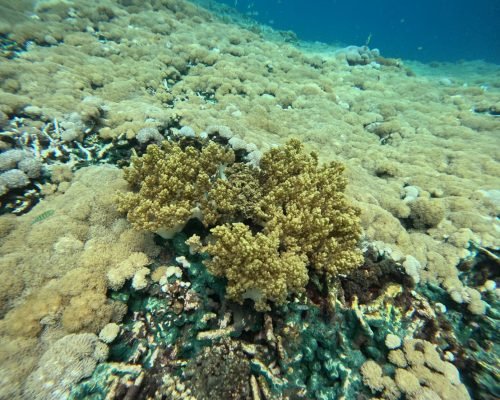 WhatsApp Image 2025-12-26 at 09.39.07