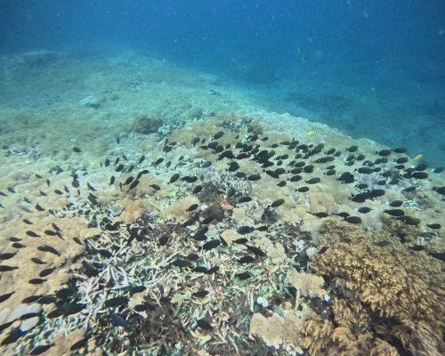 WhatsApp Image 2025-12-26 at 09.39.08