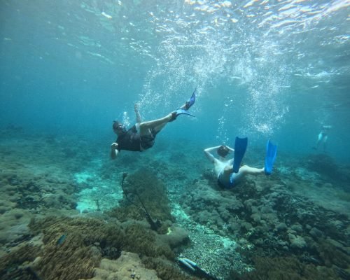 WhatsApp Image 2025-12-26 at 09.39.10