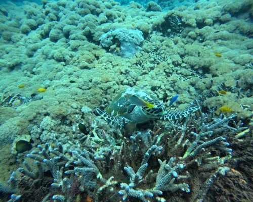 WhatsApp Image 2025-12-26 at 09.39.11 (1)