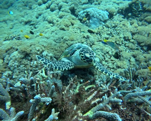 WhatsApp Image 2025-12-26 at 09.39.12