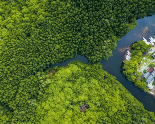 joel-vodell-BSlEq_yMQIE-unsplash