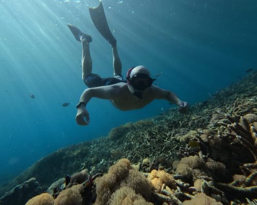 snorkeling-tour-with-manta-rays-join-with-a-group (3)