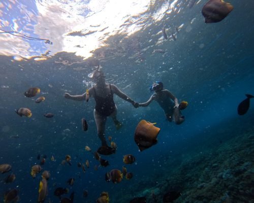 snorkeling-tour-with-manta-rays-join-with-a-group (5)