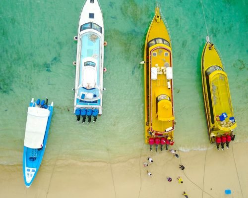 tito-rebellious-TwV_DOMGt4k-unsplash